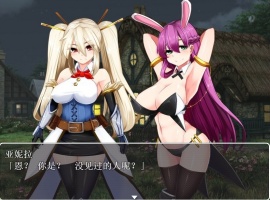 【RPG汉化】银乱的圣骑士HolyKnightBitch【+PC】完整汉化版+全CG【600M】【补档】-IS